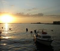 1382414_triest_seaside_evening-sxchu-username-gherrmann-thumb-225x168-443611 1382414_triest_seaside_evening-sxchu-username-gherrmann-thumb-225x168-443611