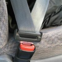 602535_seatbelt-sxchu-website-thumb-225x300-490111 602535_seatbelt-sxchu-website-thumb-225x300-490111