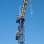 1319880_crane-sxchu-thumb-225x308-522681 1319880_crane-sxchu-thumb-225x308-522681
