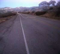 road road