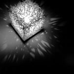 Chaos by Strand + Hvass Chaos by Strand + Hvass