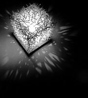 Chaos by Strand + Hvass Chaos by Strand + Hvass